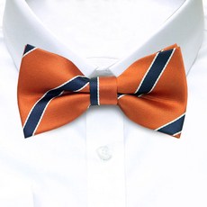 줄무늬나비넥타이