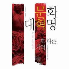 문화대혁명또다른기억