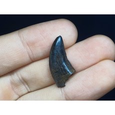 루페우스