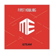 앤팀앨범 TOP01