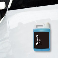 가우디유막제거