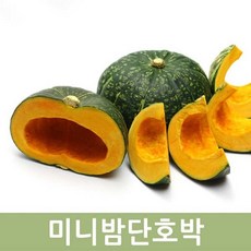 두리반농산 미니밤단호박 1kg 2kg내외 달콤한 단호박 웰빙식품, 미니단호박 2kg