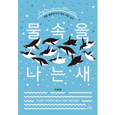 물속을나는새