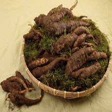 유기농 강원도 정선 산더덕 특 1kg, 1개