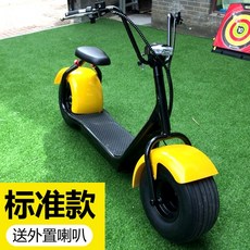 전기바이크 자전거 오토바이 전동스쿠터 할리 배터리 543253739445, 60V, H