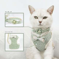 아기미니보타이