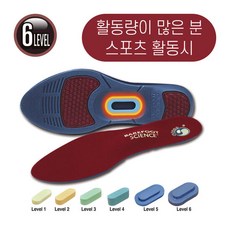 데이스텝