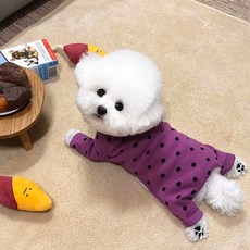 블랑시앙