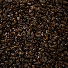 결명자 600g 결명자차, 1개, 1개입