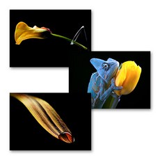 97f4f55ab350948f03fb4a67ab469be817338b03eb62c7a51966eb9e5ad0.jpg