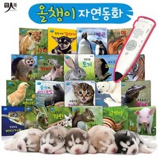 [전집] 올챙이 자연동화 (보드북20권) / 세이펜 미포함, 인북(전집)