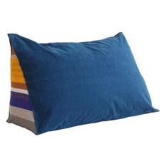 코스트코오리고