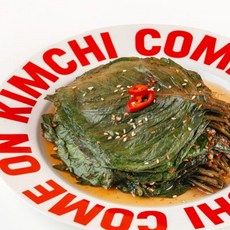 전라도 국산 깻잎김치 맛집 가정식 외1종, 1개, 1kg