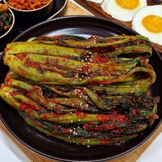 돌쇠네농산물 여수맛집 맛깔나게 담근 여수 돌산 갓김치 1kg+1kg