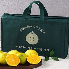 백화점납품용 황금향 특품선별 선물용 과일선물세트, 1개, 3kg