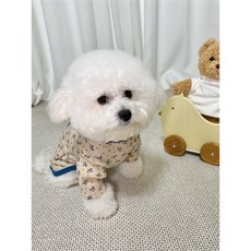 대롱자켓