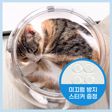 냥쿠아리움 - 인싸 고양이 SNS 핫템