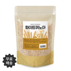 퀴노아옹알이