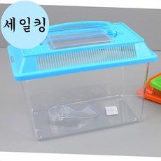 곤충 채집 잡기 장수풍뎅이 사슴벌레 보관 케이스 투명 중형 곤충채집통