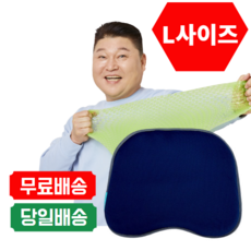 밸런스온운전방석