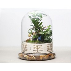 1 세트 유리 꽃병 교수형 Terrarium Succulents 식물 풍경 홈 장식 선물 수경법 병 JY 1201|glass vase hanging|vase hanginghan, 1개, 10 16CM
