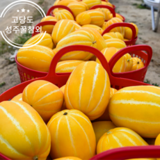  성주 산지직송 가정용 고당도 달콤 로얄과 꿀 참외 1박스 가정용소중대(혼합랜덤)5kg  상품 이미지