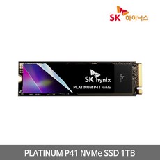 SK하이닉스 Platinum P41 M.2 NVMe 1TB