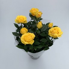 8e4b53631a05a446f193b59bab675366113c8d0f981a964c5296e5c95d87.jpg