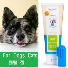 Oxyfresh 강아지 고양이 치석 구취 구내염 예방 덴탈 젤치약 덴탈워터 첨가제, 덴탈젤-113g, 1개