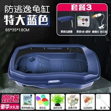 레이저백거북이