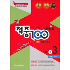 적중100플러스영어중3-2김성곤