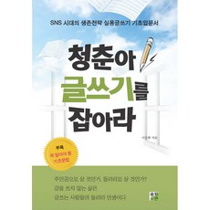 실용글쓰기책