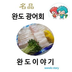 완도광어 광어회, 1개, 500g
