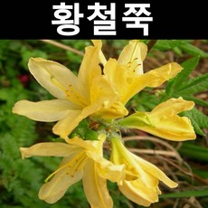 68f7c1975ee814e5360c1d6b7415f24d49a40c22c49b4a99ea5981f54dc3.jpg