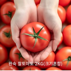 [신선보장] 아침에 따서 그날 보내는 완숙 찰토마토, 크기혼합, 3개, 2kg