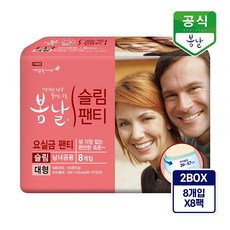 깨끗한나라 봄날 팬티형 슬림 성인기저귀 대형 8p x 8팩, 1set