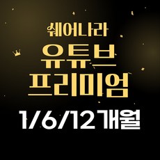 유튜브 프리미엄 유튜브 뮤직 이용권 1개월 6개월 12개월 12개월