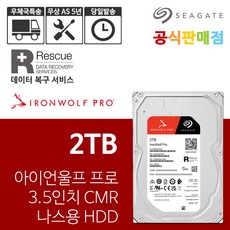 씨게이트 아이언울프 프로 2TB ST2000NT001 NAS 하드디스크 - 아이언울프프로