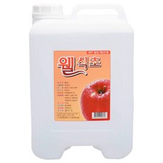 웰 식초 13kg 대용량 세탁 소독 과수 말통 A494, 1개