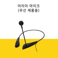 준성테크기가마이크