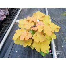 c9619dbb5b79c99bf132504020fb78ab2ccad6f3279aa422cb69565106c6.jpg