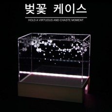 영혼의꽃아리케이스