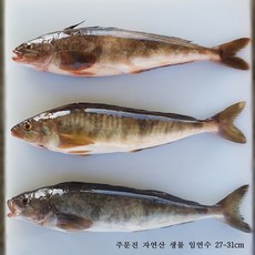 8b4a9aaf2f6ff27db5712d47b859c04b581d611ff83517a111c576157efb.jpg
