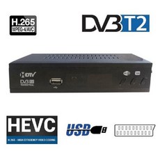 풀 HD DVBT2 비디오 디코더 HD99 FTA HEVC H.264 DVB T2 디지털 TV 튜너 H.264 TV 리시버, 1) H.265 EU Plug - h264플레이어