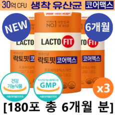 락토핏 TOP01