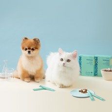 닥터맘마췌장