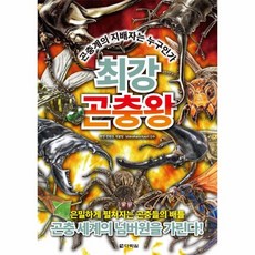 최강왕시리즈