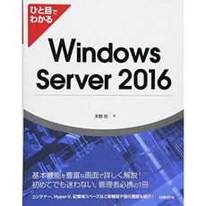 한눈에 알 Windows Server 2016, 단일옵션