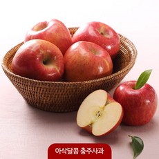 산지직송 명품 충주사과 10Kg(22-26과)