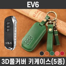 ev6카드홀더
